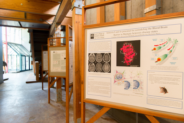 Senior Thesis posters displayed in the Fisher Science building