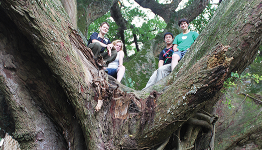 Students researching in the Fengshui Forests