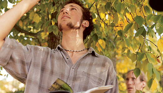 Male student studying botany