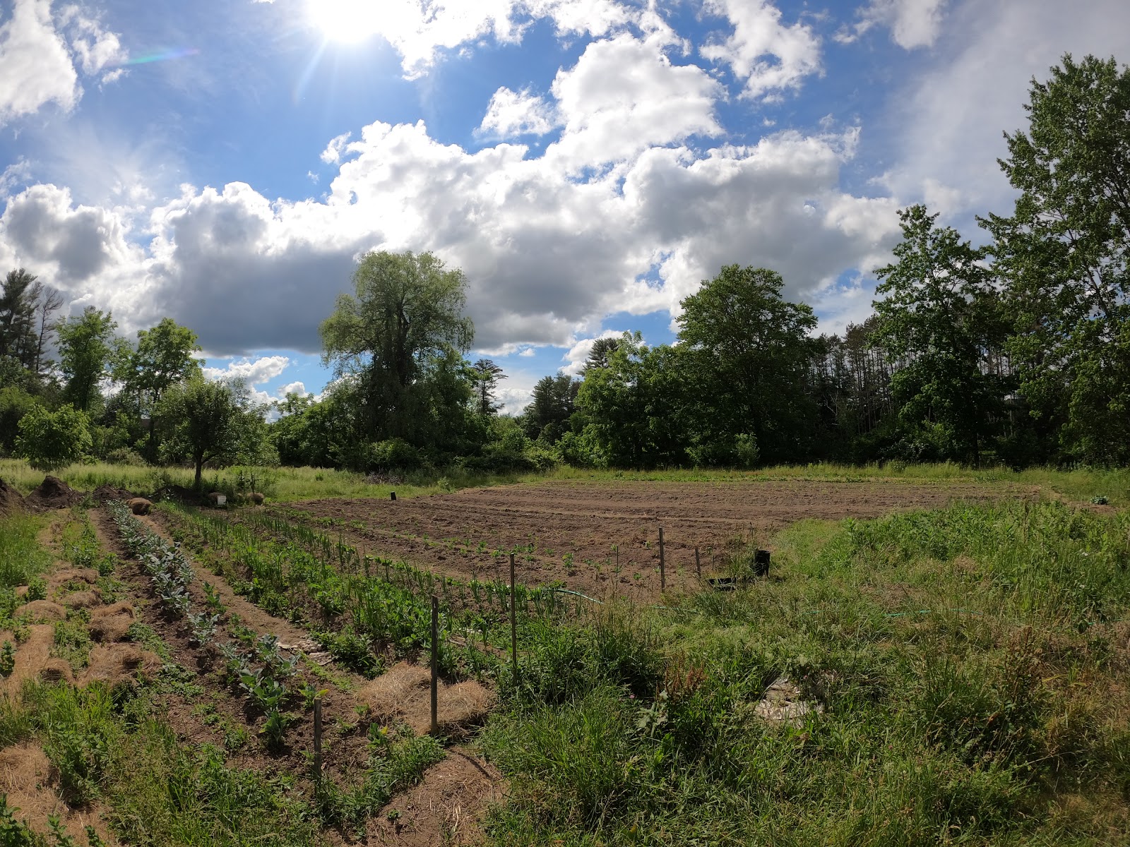 Simon's Rock Farm crops