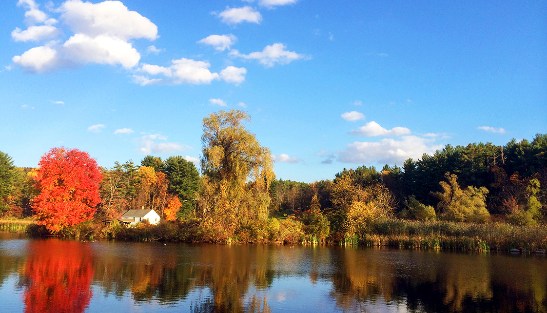 The lower pond in autumn