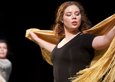 Flamenco dancer at dance concert