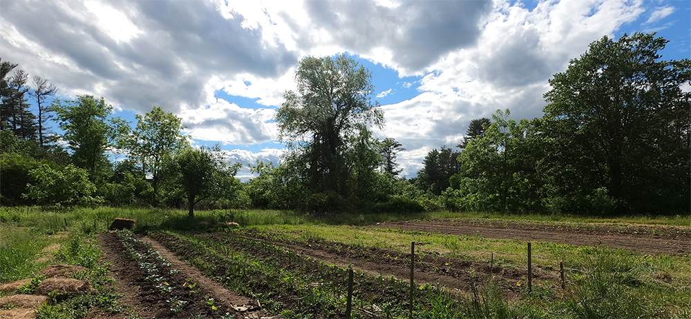 Simon's Rock Farm