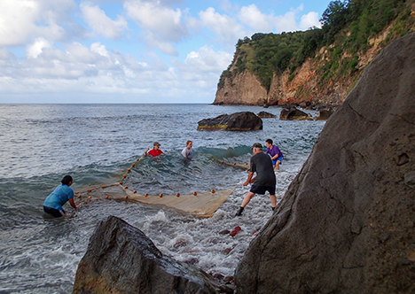 Montserrat beach scene